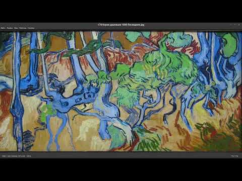 Видео: Кса и Ван Гог