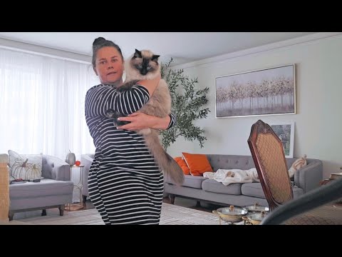 Видео: СЕЛЬЧАНКА В АМЕРИКЕ  .США. 