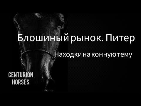 Видео: Блошиный рынок на Удельной в Питере. Мои находки по конной тематике
