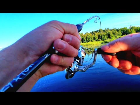 Видео: Я ОТ УВИДЕННОГО ДАР РЕЧИ ПОТЕРЯЛ!!!РЫБАЛКА НА СПИНИНГ НА РЕКЕ.