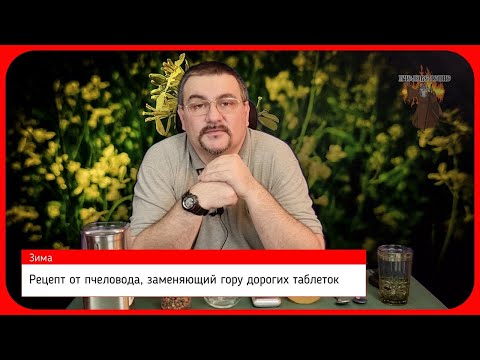 Видео: 🍯 Чем полезен мёд с пергой холодной зимой 🍯