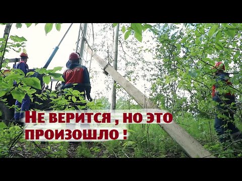 Видео: Как нам удалось почти даром подвести к участку электричество?