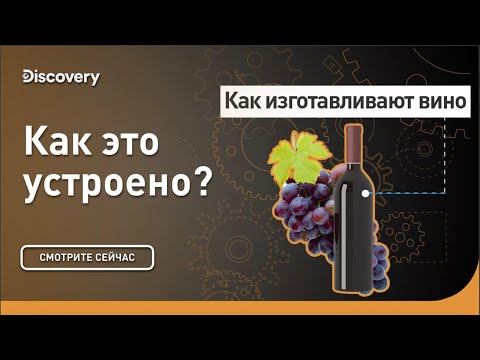 Видео: Как изготавливают вино | Как это сделано? | Discovery Channel