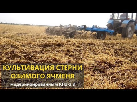 Видео: Культивация стерни озимого ячменя и размышления