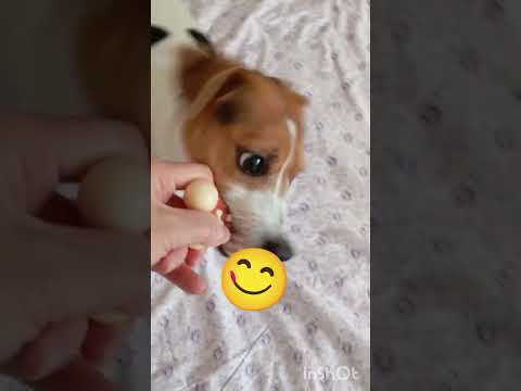 Видео: Распаковка TEMU. Супер косточка. Броши. Цены 