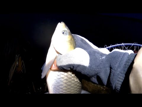 Видео: Зимний фидер на малой реке! Амур! Язь! Слом погоды! Было +20, а теперь  -10!