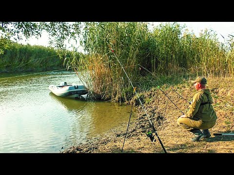 Видео: ПЕРВАЯ ПОКЛЕВКА И СРАЗУ ЖЕ ТРОФЕЙ!!! ОСЕННИЙ, БЕШЕНЫЙ КЛЕВ! Отличная рыбалка.