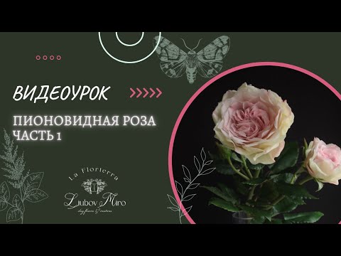 Видео: МК ПО РОЗЕ ИЗ ХОЛОДНОГО ФАРФОРА: Часть 1