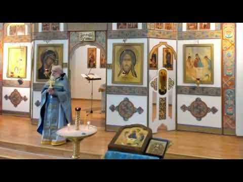 Видео: 04.11.2025. Литургия Иоанна Златоуста. Казанской иконы Пресвятой Богородицы.