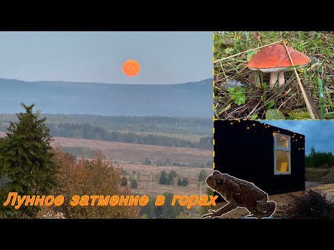 Видео: 🌔⛰️Кровавая луна в горах | Утеплили домик | Сделали пол из досок | Море грибов 🪵🍂🍄