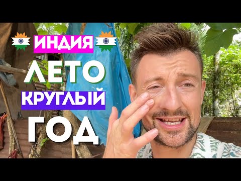 Видео: Как живут Русские в Индии, Мой рацион питания в Индии, Проиграл деньги на Фьючерсах