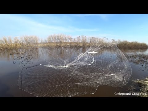 Видео: Ловим щук на кастинговую сеть. Преодолеваем бездорожье на квадроцикле.