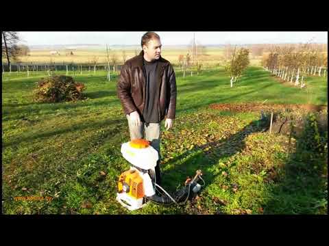 Видео: Маточник клоновых подвоев. Айва S1. Осенняя вырезка укоренённых побегов.