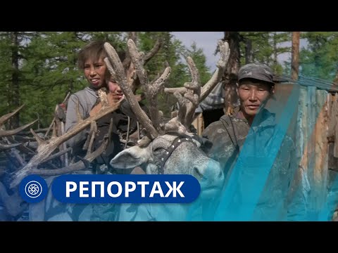 Видео: История Аяно-Майского района Хабаровского края