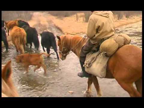 Видео: Сойоты / Документальный фильм