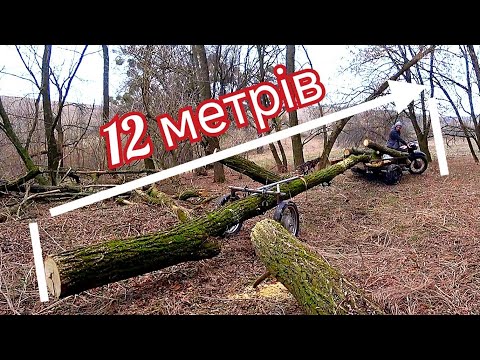 Видео: Новий рівень! ПЕРЕВЕЗЕННЯ ДРОВ трициклом🪵 Візок для длінних дерев👍
