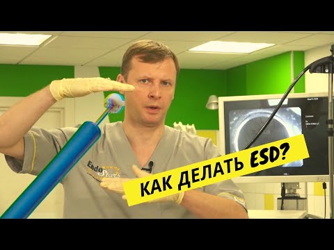 Видео: ESD. Онлайн-Курс Эндо Старс (Endo Stars LLC)