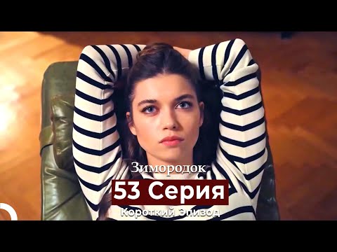 Видео: Зимородок 53 Cерия (Короткий Эпизод) (Русский дубляж)