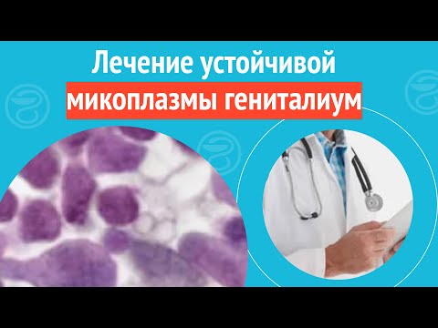 Видео: 🩺 Лечение устойчивой микоплазмы гениталиум. Клинический случай №1644