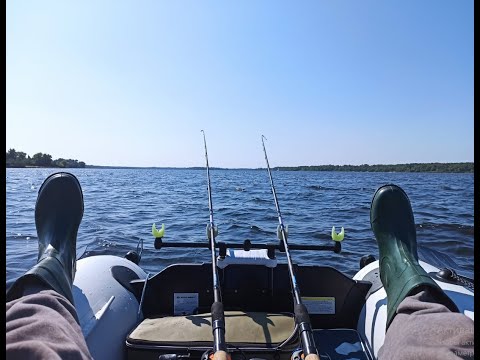 Видео: Кукуруза рулит!! И отдохнули и наловили