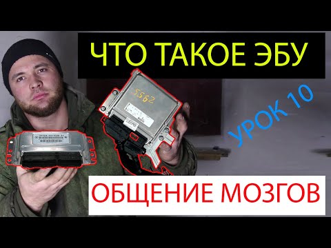 Видео: урок 10,Что такое эбу,мозги в автомобиле