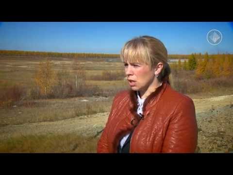 Видео: Сработано чисто Рекультивация хвостохранилища обогатительной фабрики