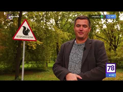 Видео: Автограф №153 Куда можно съездить на автомобиле из СПб