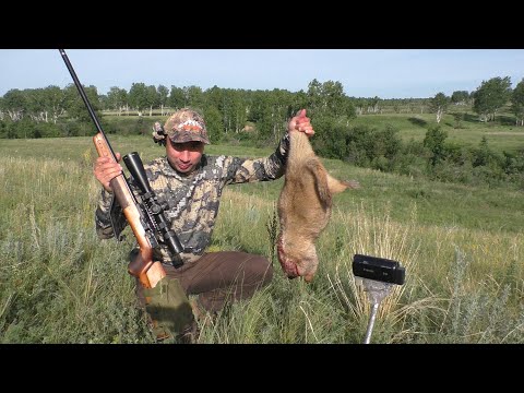Видео: С "МЕЛКАШКОЙ" на сурка!!! 22LR  в деле!!!