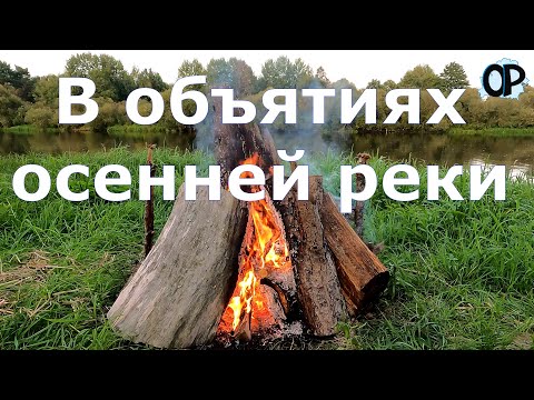 Видео: В объятиях осенней реки