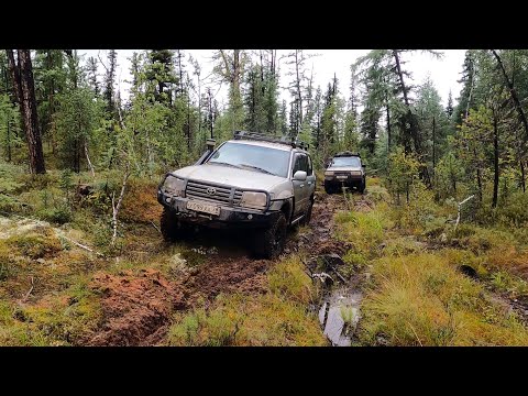 Видео: Крузер круиз по Тофаларии