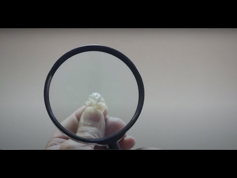 Видео: Странники мамонтовой степи  Экспедиция ТВ2 на одно из крупнейших кладбищ мамонтов в Евразии