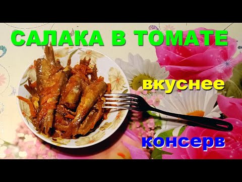 Видео: 🐬 Превосходная ТУШЕНАЯ САЛАКА в ТОМАТНОМ соусе. РЕЦЕПТ ПРОСТОЙ и очень ВКУСНЫЙ.