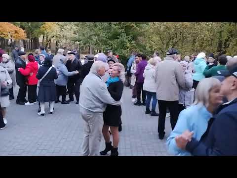 Видео: 26.10.2024🔥🍁👍.Новинка про осень.В Гомельском парке.