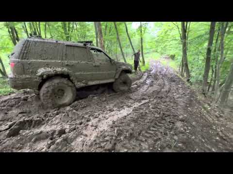 Видео: 7 декабря 2022 г.