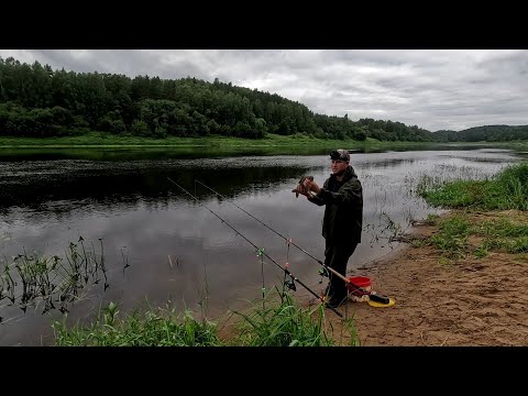 Видео: Ловля подлещика на фидер.