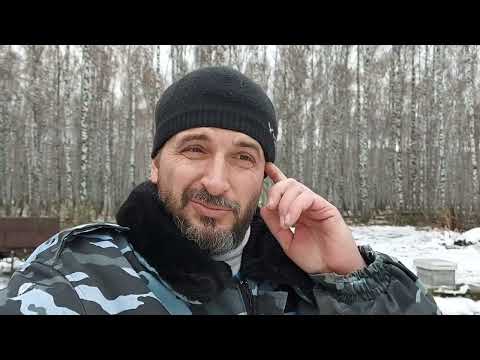 Видео: Потери пчёл осенью/ итоги сезона 2025 по бакфасту