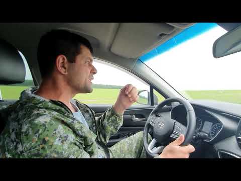 Видео: Первая работа собак по кабану и барсуку.