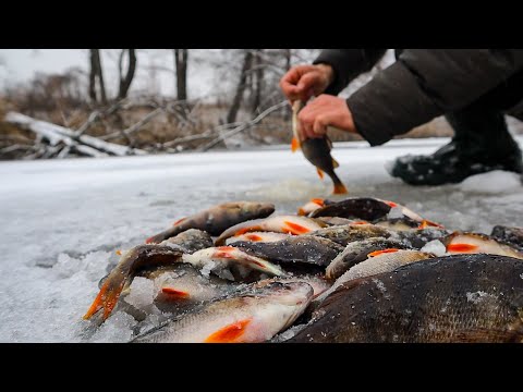 Видео: Пакет риби з Чотирьох Лунок.Старі робочі Дідівські місця на річці Уж