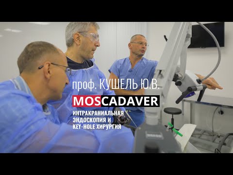 Видео: Кадавер курс для нейрохирургов под руководством профессора Кушеля Ю.В. KEY-HOLE хирургия 27-28.08.22