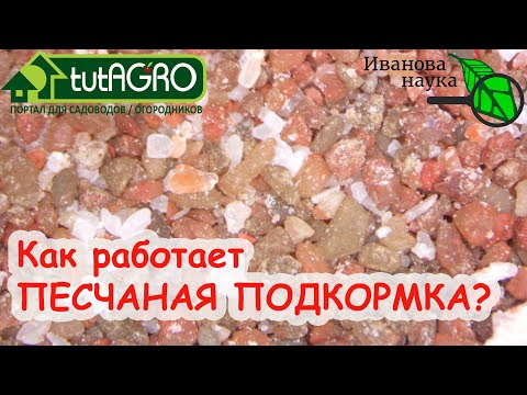 Видео: ОСОБАЯ ПЕСЧАНАЯ ПОДКОРМКА РАСТЕНИЙ: КАК ЭТО РАБОТАЕТ. Вся ценность природных минералов - для УРОЖАЯ!