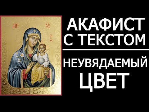 Видео: Акафист Богородице Неувядаемый Цвет