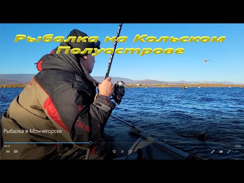 Видео: Рыбалка в Мончегорске. Ловля сига. Рыбалка в городе.