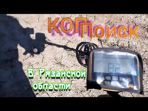 Видео: Находки в полях Рязанской области.#металлоискатель #apex #артефакты #монеты #поиск #клад #коп #