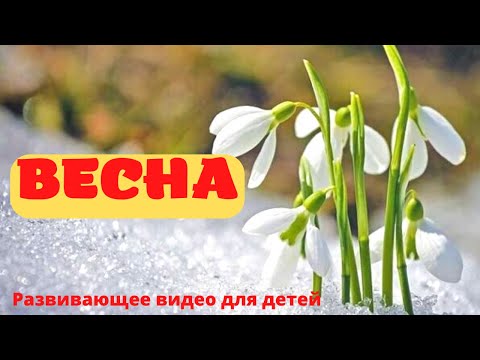 Видео: ВЕСНА! 🌱Рассказ про ВЕСНУ для детей. Русская весна. Развивающее видео для детей