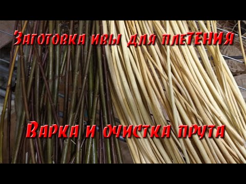 Видео: Заготовка ивы для плетения. Часть 2. Варка и очистка прута