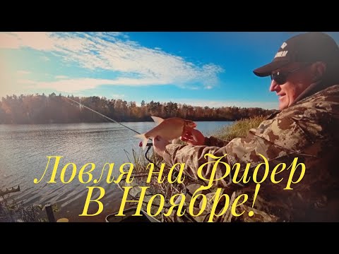 Видео: ФИДЕРНАЯ РЫБАЛКА В ПОСЛЕДНИЙ МЕСЯЦ ОСЕНИ! ЖИРНЫЕ ПОДЛЕЩИКИ  РАДУЮТ ПОКЛЁВКАМИ!
