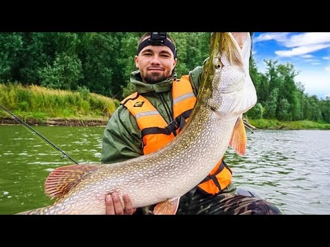 Видео: Мандула!КРУПНАЯ ЩУКА 2019!Осенняя рыбалка в Казахстане.