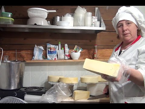 Видео: Вбухала сюда 100 тыс! Получаю отдачу- ВЕЛИКОЛЕПНЫЙ СЫР!