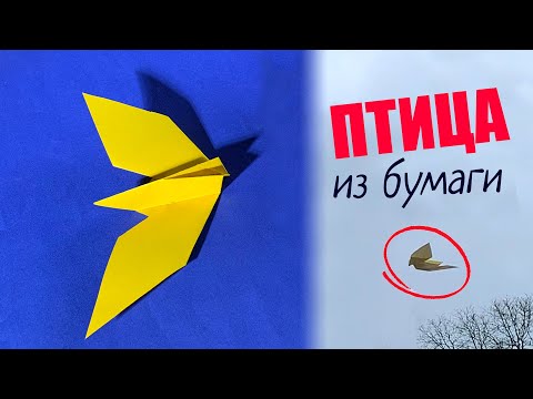 Видео: Как сделать самолет – птицу из бумаги [Легко и быстро]