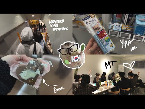 Видео: KOREA VLOG DIARY|покрасила волосы (результат)/ищу водку для учителя/ кусочки нашего MT|29-31.03.2025